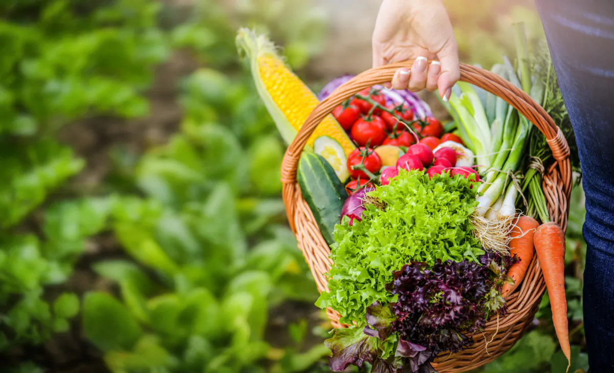 Summer offers a wide variety of brightly colored fruits and vegetables to create beautiful, nutritious meals. / Photo by Krasula via Shutterstock