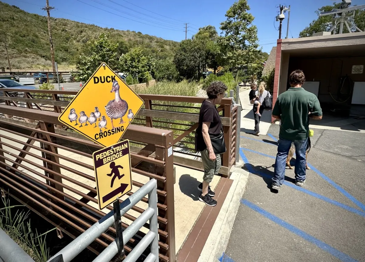 The Laguna Beach Animal Shelter in Laguna Beach, Calif., on July 7, 2023. (John Fredricks/The Epoch Times)