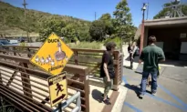 Laguna Beach Animal Shelter Receives $30,000 Donation From Deceased Animal Lover