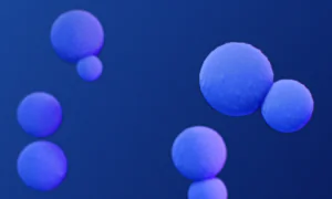 Rare Fungus Found in Soil Leaves Wisconsin Woman Dead