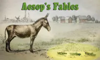 Ass Tries to Become Like Grasshoppers by Defying Nature: The Laws of Nature Are Unchangeable
