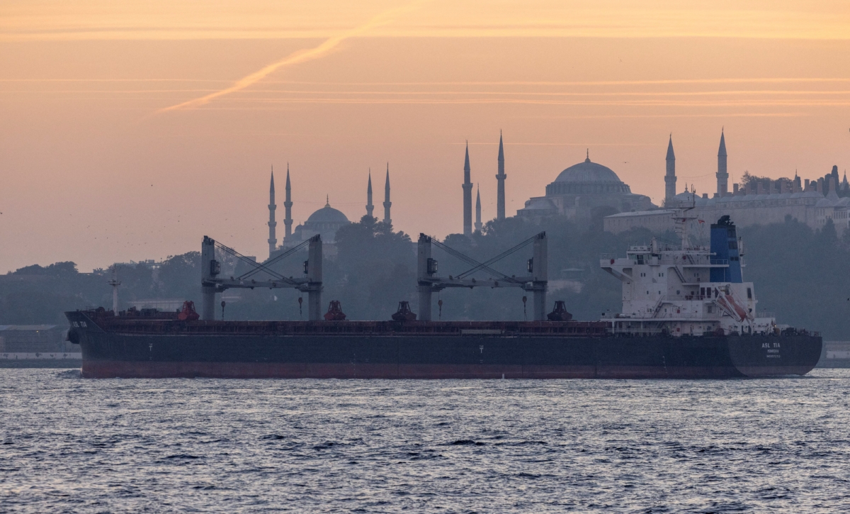 Russian, Turkish Ministers Talk After Turkey Sends Ukrainian Commanders Home