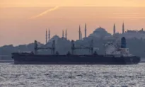 Russian, Turkish Ministers Talk After Turkey Sends Ukrainian Commanders Home