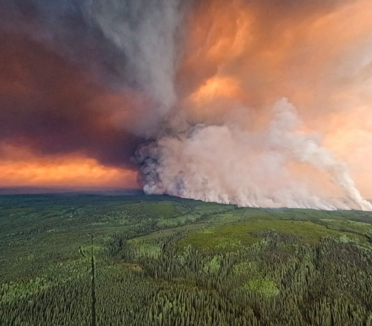 The Donnie Creek wildfire burns in an area between Fort Nelson and Fort St. John, B.C., in this undated handout photo provided by the BC Wildfire Service. (The Canadian Press/HO-BC Wildfire Service)
