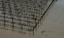 California Governor Signs Executive Order to Protect Levees, Prevent Flooding