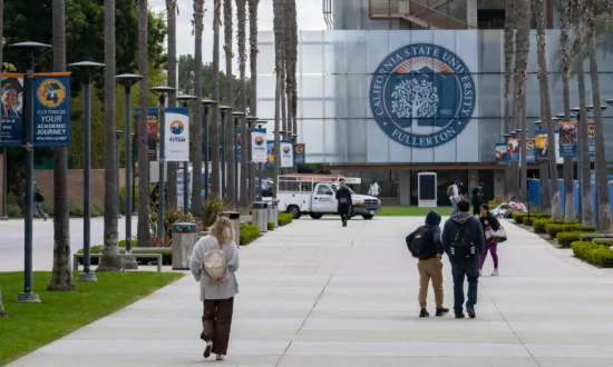 US College Enrollment Rises as Number of Campuses Drops, Report Finds