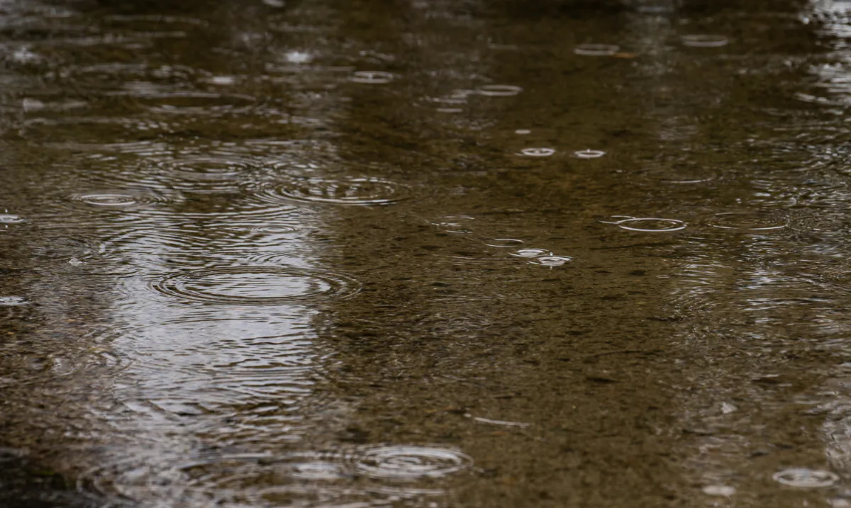 A rain storm hits Southern California on Feb. 25, 2023. (John Fredricks/The Epoch Times)