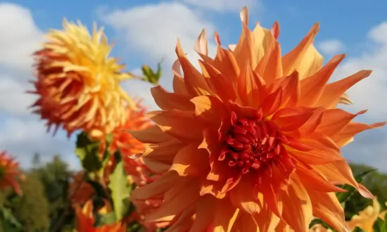 Charity, Beauty, and Dedication Are Civilization’s Building Blocks