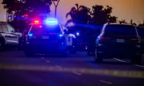 Ventura County Sheriff, K-9 Partner Injured After Collision With Drunk Driver