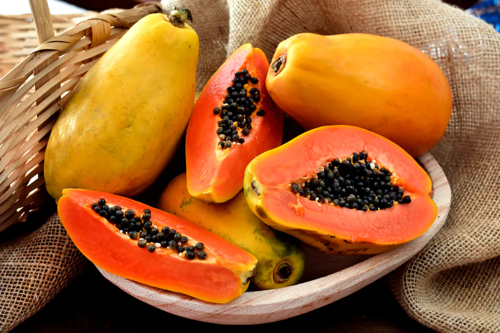 (itaci/Shutterstock)