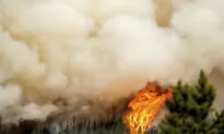 ‘Long Days Ahead,’ Says Eby as BC’s Wildfire Evacuation Orders and Alerts Climb