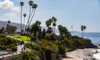 Still Much to Be Thankful for in California in 2023