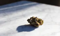 Long-Term Cannabis Use Significantly Increases Risk of Heart Disease and Death