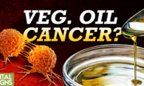 Are Vegetable Oils Killing Us? We Swapped Them In for Animal Fats 50 Years Ago