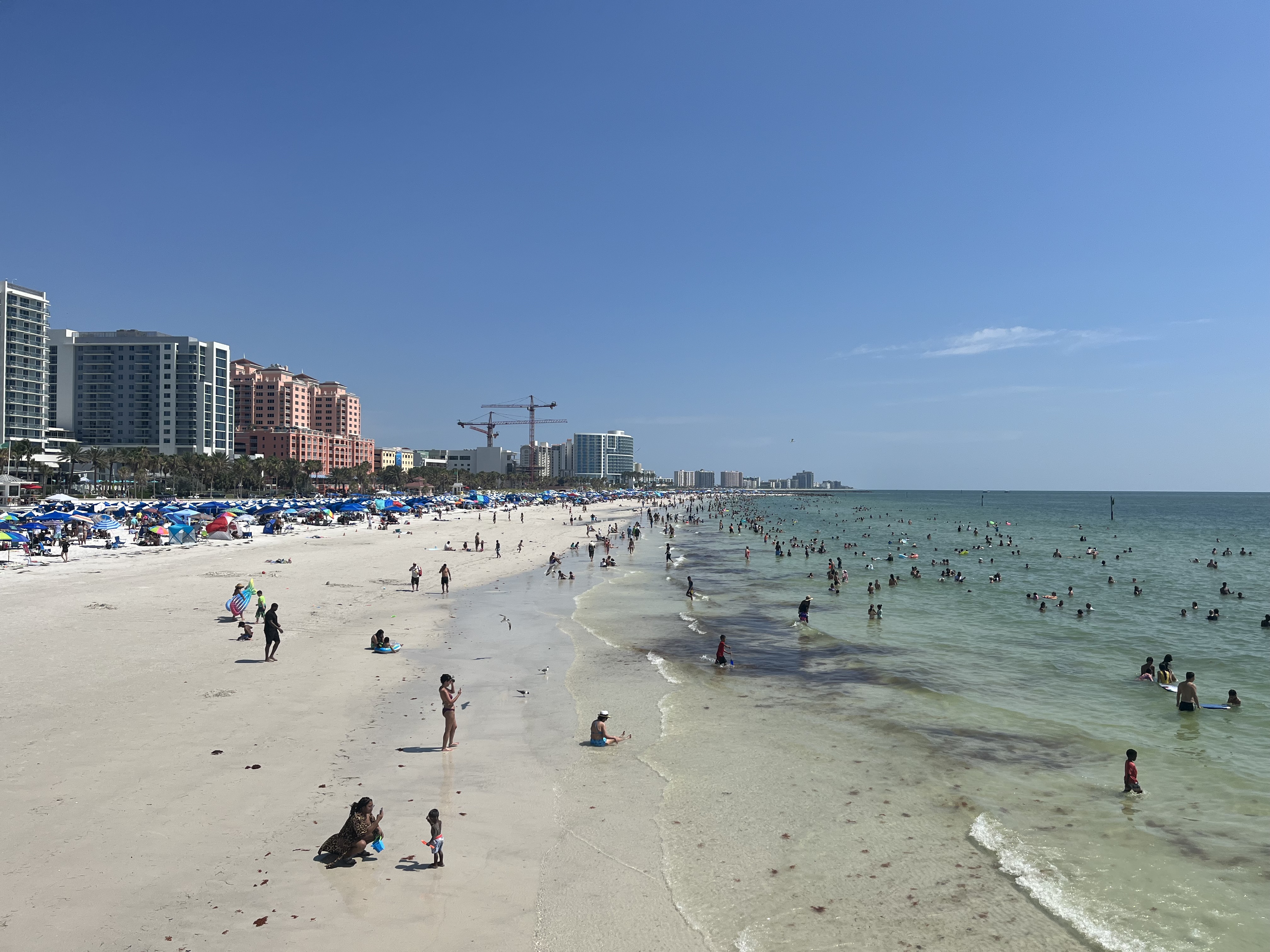 Swimming not recommended at 2 Hillsborough County beaches due to high  bacteria levels