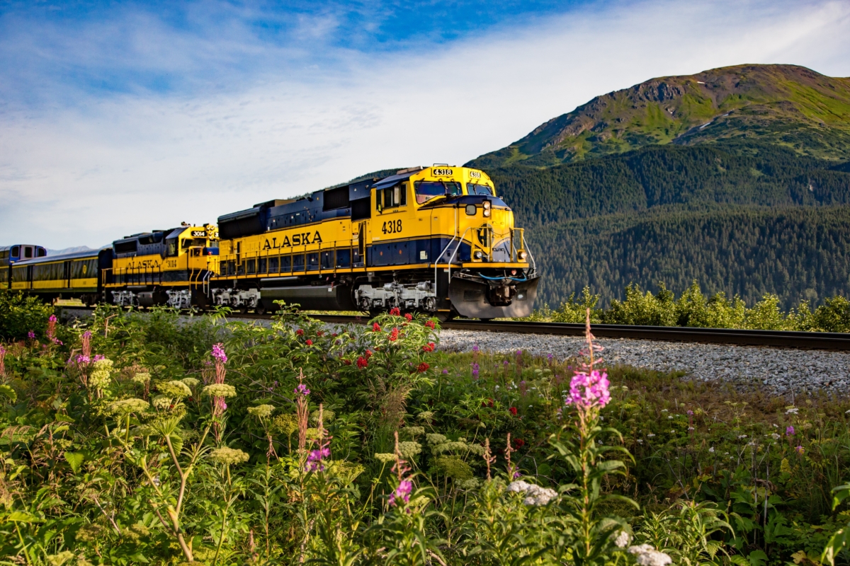 Piercing Through Alaska's Wilderness by Train