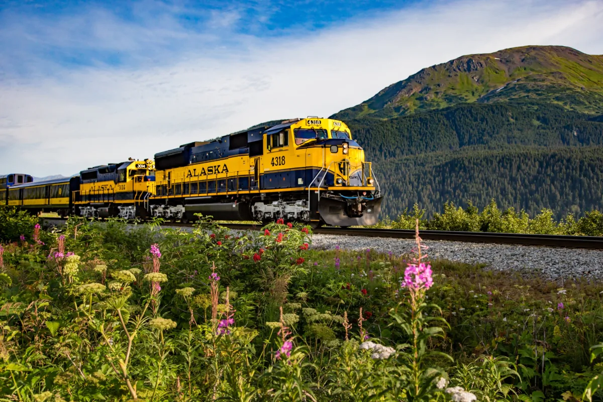 Passengers of the Alaskan Railroad experience all of Alaska's wild beauty. (Courtesy of Alaska Railroad)
