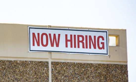 Employment Opportunities Will Increase in 2024, Recruitment Firm Predicts