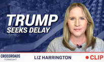 On the Trump Classified Docs Case, and If Trump Would Ever Consider Dropping Out of 2024: Liz Harrington