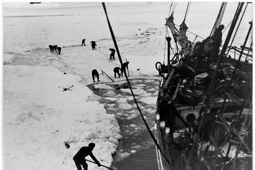 Endurance under sail trying to break through pack ice, Weddell Sea, Antarctica, 1915, by Frank Hurley, from original Paget Plate, 1914–1915, State Library New South Wales. (Public Domain)