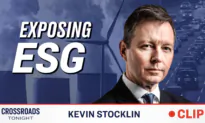 The ESG Movement Was Never Designed to Help the Environment: Kevin Stocklin
