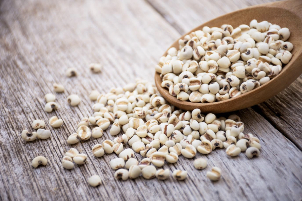 Pearl Barley’s Miraculous Medicinal Effects: Relieves Muscle Tension ...