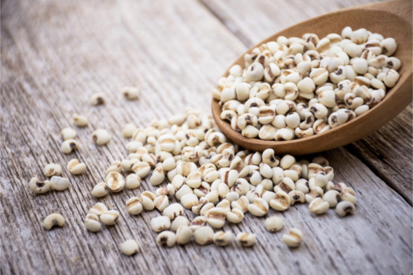 Report: Eating Barley Can Reduce Sneezing, Upper Respiratory Issues, and Improve Mood