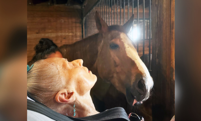 79-Year-Old Woman's Dying Wish Fulfilled As Carers Bring Her to See Her Beloved Horse One Last Time