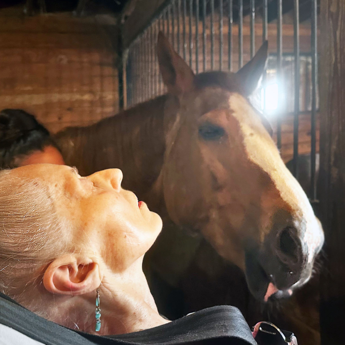79-Year-Old Woman's Dying Wish Fulfilled as Caregivers Bring Her to See Her  Beloved Horse One Last Time | The Epoch Times
