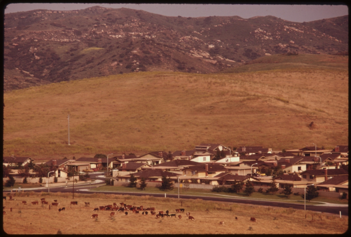 NextImg:A Must-Read for Irvine Ranch History Aficionados