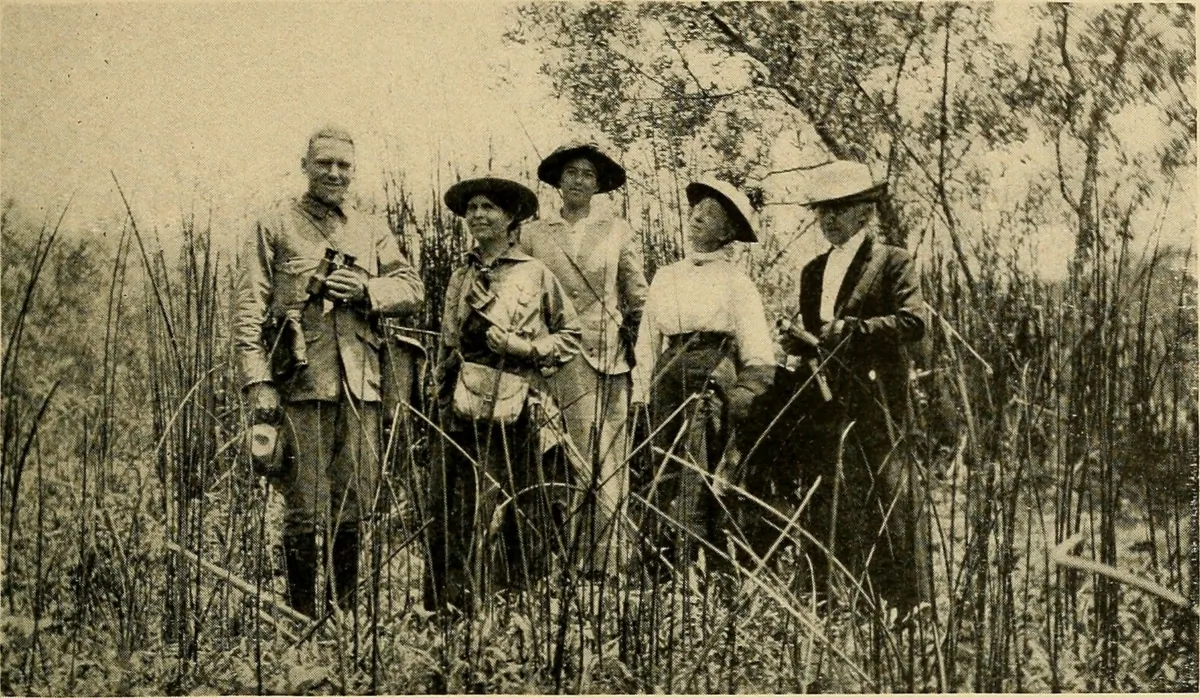 Los Angeles Audubon Society members studying the marsh wren in the Dominguez Slough, 1918. (Public Domain)