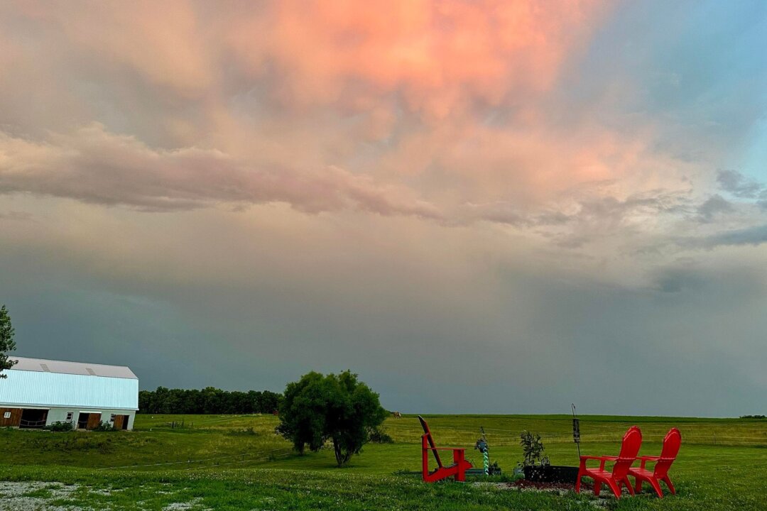 Southern Mom Rediscovers Rural Roots on Ohio Homestead Next to the ...