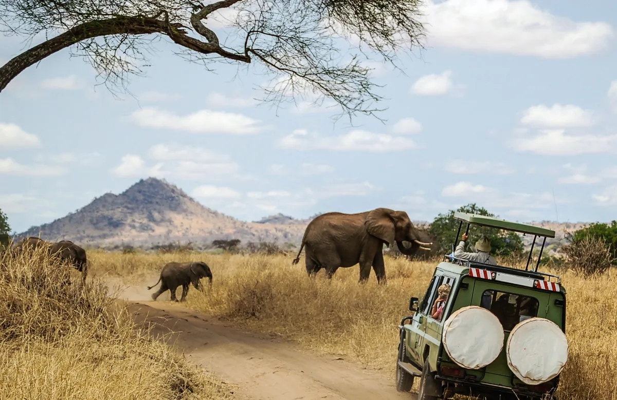 Today's Luxury Safari guests are looking for slower travel and more meaningful impact, and to participate and learn about wildlife preservation. (bumihills/Shutterstock)