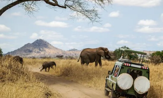 What’s New in Luxury Safari Trends for 2023
