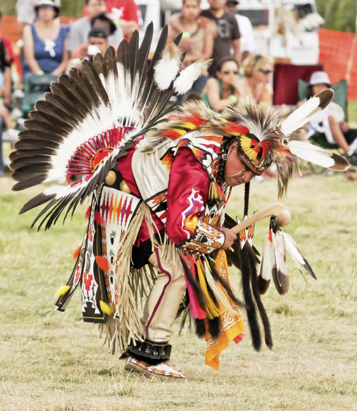 A Native American in full regalia dances at a powwow. (Photo courtesy of RightFramePhotoVideos/Dreamstime.com)