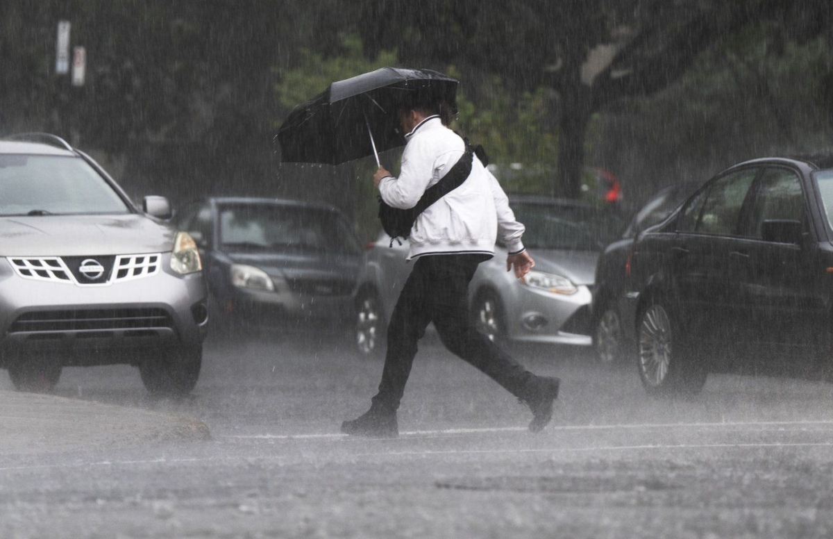 NextImg:More Than 8,000 Quebec Households Still Without Power Following Severe Storm