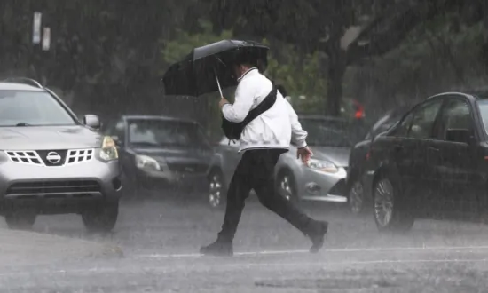 More Than 8,000 Quebec Households Still Without Power Following Severe Storm