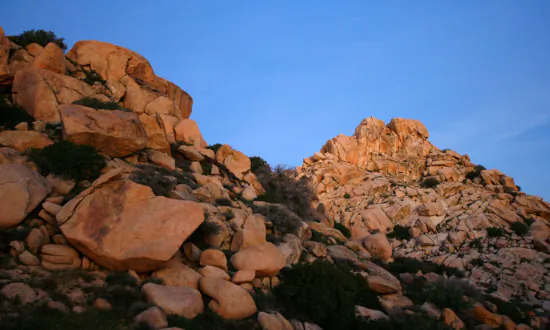 Trump Rescinds 50-Year-Old Rules Banning Off-Road Vehicles on Federal Lands