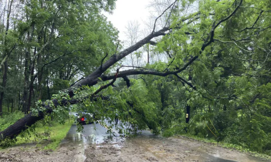 Heavy Rains Swamp Northeast Again as Flash Flooding Claims at Least 5 Lives in Pennsylvania
