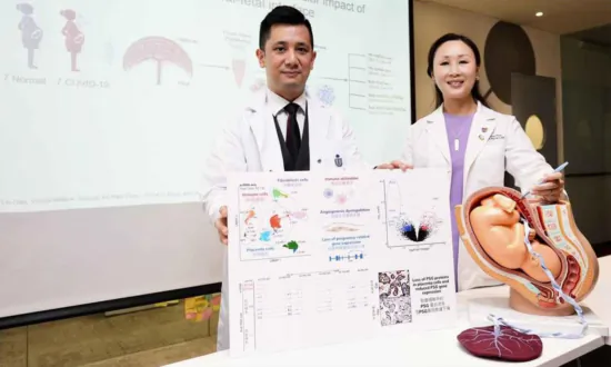HKUST and CUHK Study: Infection With COVID-19 May Cause Complications in Late Pregnancy