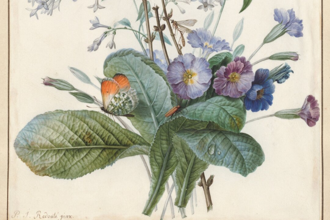 A detail of "A Bouquet of Flowers With Insects," date unknown, by Pierre-Joseph Redouté. Watercolor with gold on vellum; 9 7/8 inches by 6 3/4 inches. Ailsa Mellon Bruce Fund. The National Gallery of Art, Washington. (Public Domain)