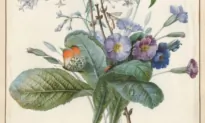 The Raphael of Flowers: Pierre-Joseph Redouté