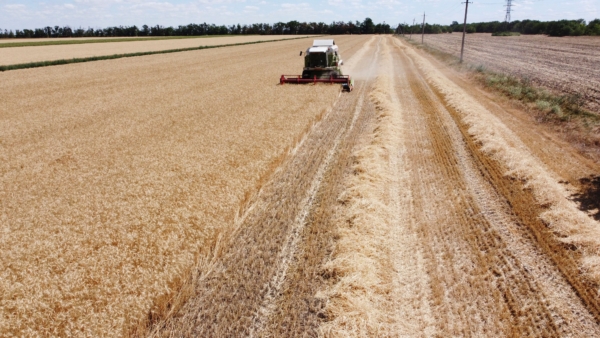 TOPSHOT - An aerial picture taken on July 21, 2022 shows a combine harvester in a wheat field near Mykolaiv, amid the Russian invasion of Ukraine. (Photo by Ionut Iordachescu / AFP) (Photo by IONUT IORDACHESCU/AFP via Getty Images)