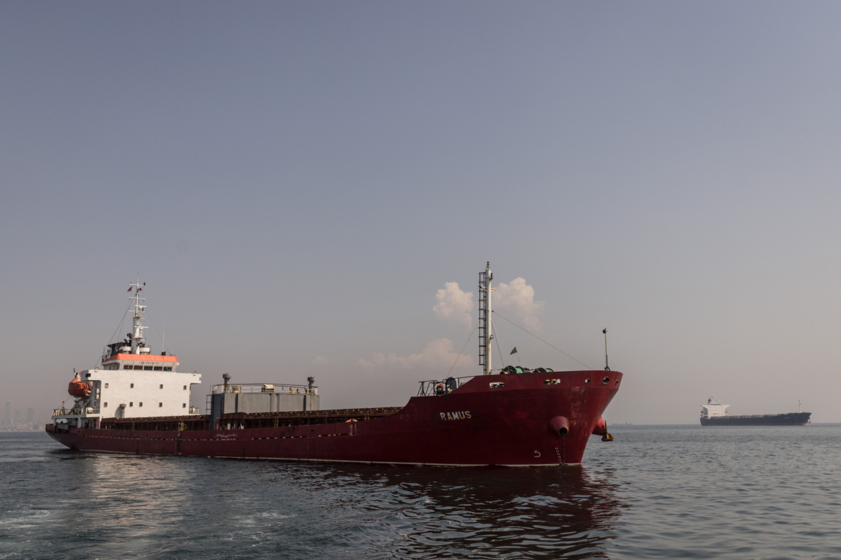 Moscow Announces Withdrawal From Turkey-Brokered Black Sea Grain Deal