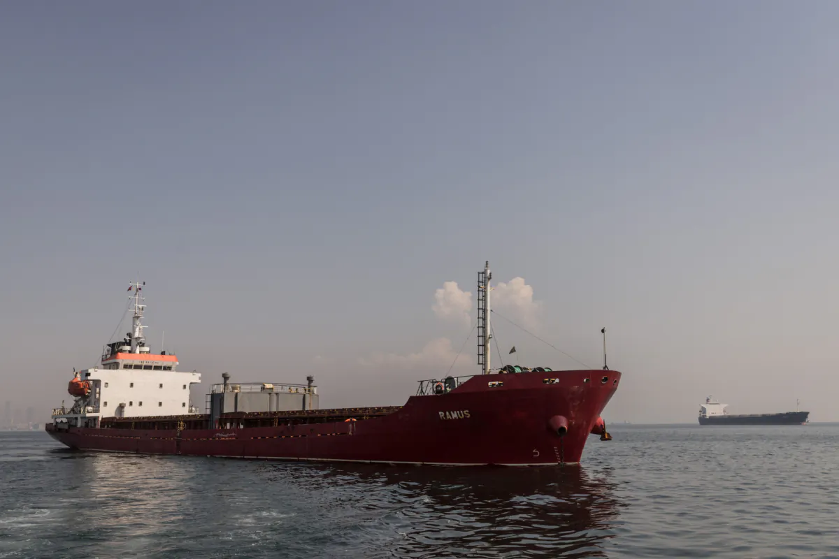 The MV Ramus vessel carrying 6,161 tons of wheat from Ukraine is seen anchored in the Marmara sea ahead of an inspection by representatives working for the Joint Coordination Center inspection team in Istanbul on Aug. 18, 2022. (Chris McGrath/Getty Images)
