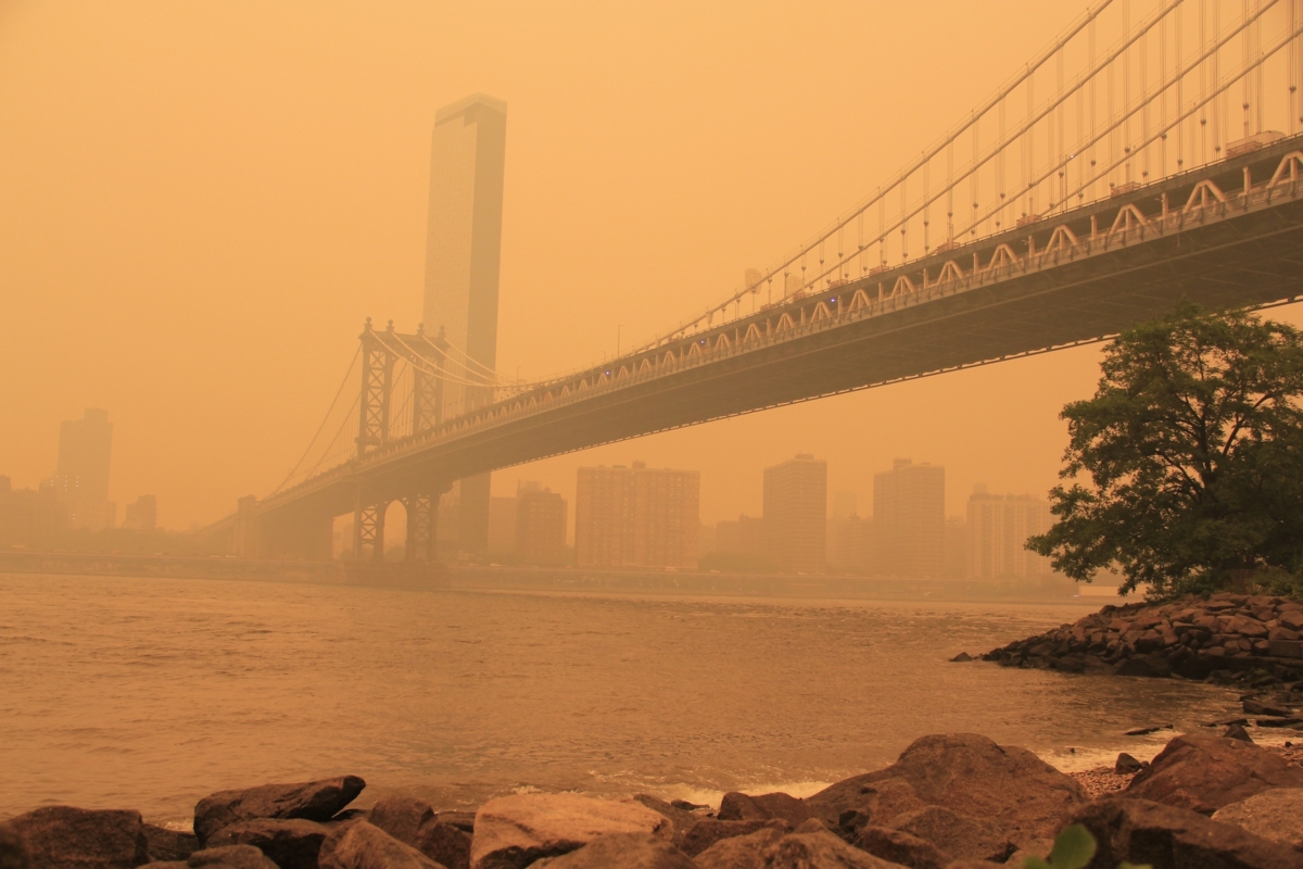 NextImg:Wildfire Crisis to Escalate, Prompting Health Concerns for 5 Types of People: Can Masks Help?