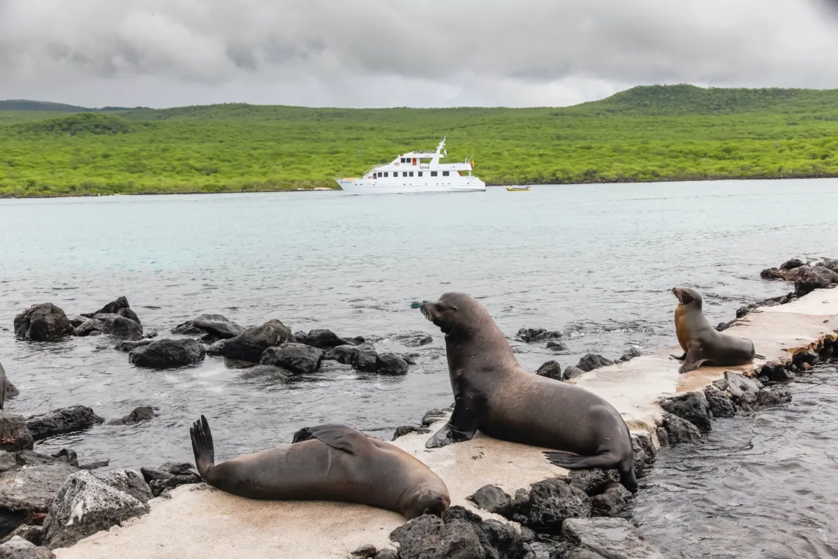 The best time to visit Galapagos Islands is from June to December, when it's their dry season. (Dreamstime/TNS)