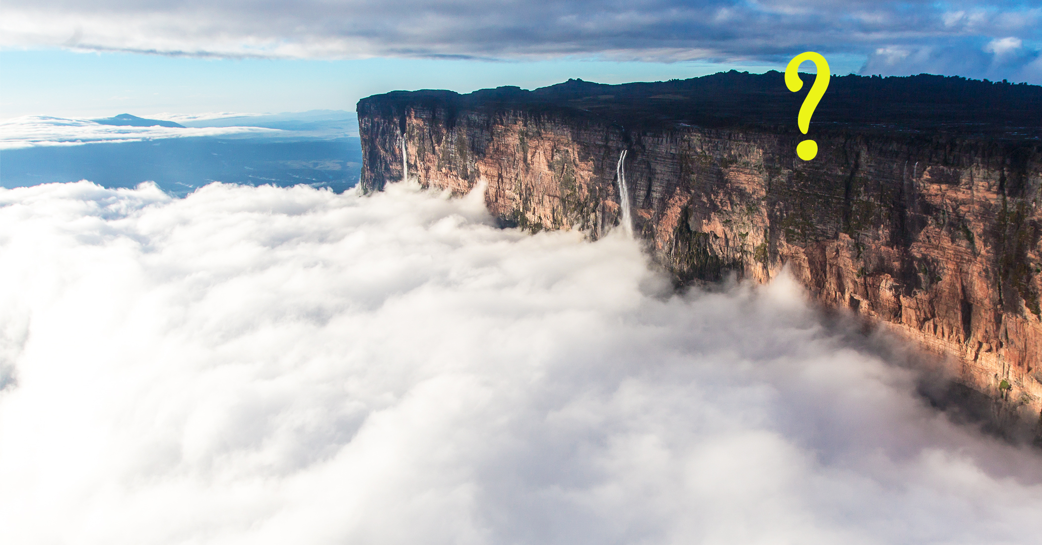 The lost world: This cloud-shrouded oldest mountain in the world has wildlife you can only find here