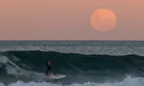 Bumps Appear in Surfing’s Gender Equality Wave