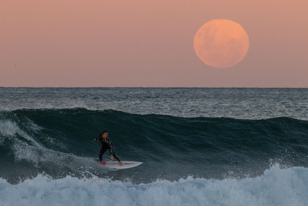 NextImg:Bumps Appear in Surfing's Gender Equality Wave